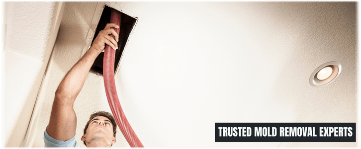 Air Duct Mold Removal in Garland