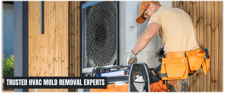 HVAC Mold Removal Garland